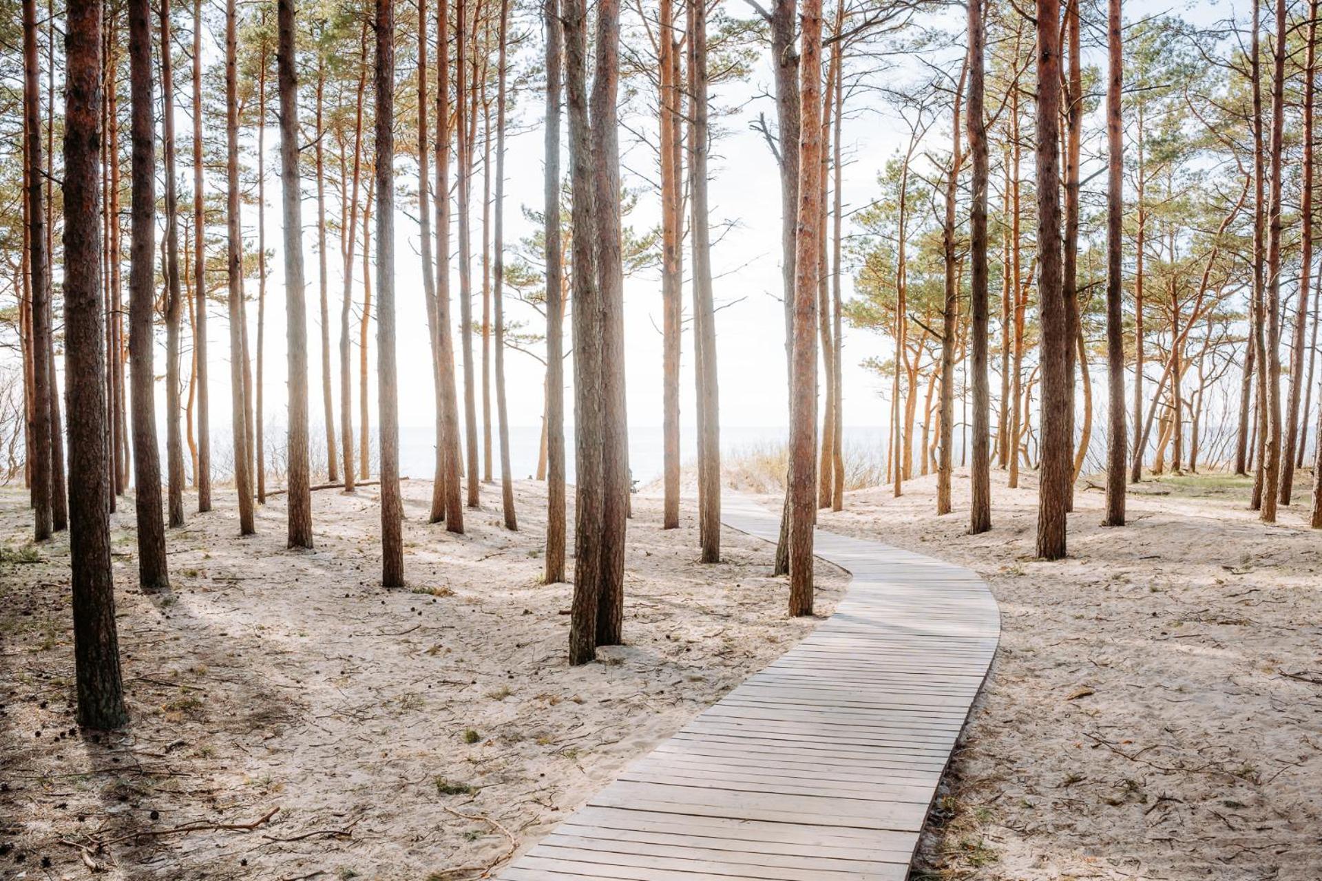 Hill Palanga & Spa Bagian luar foto